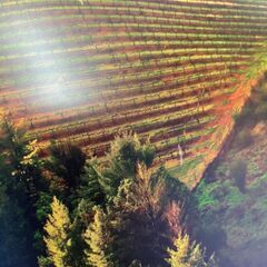 フィリップス　モニター246E7Q モニターアーム  傷ありの画像