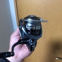 本日土曜日限定‼️最終値下げ‼️早い者勝ち‼️ダイワルビアス2508の画像