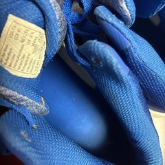 数回のみ着用美品　チャンピオン　バスケシューズ　　25.5cmの画像