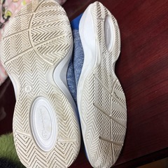 数回のみ着用美品　チャンピオン　バスケシューズ　　25.5cmの画像