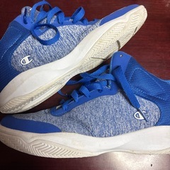 数回のみ着用美品　チャンピオン　バスケシューズ　　25.5cmの画像