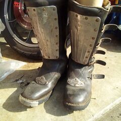 アルパインスターヴィクトリーの画像