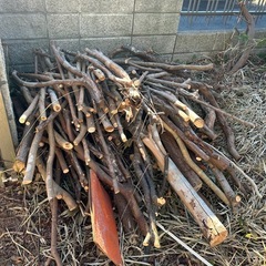 【薪用木材あります】約1mに伐採済み
