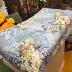 未使用保管品　高級羽毛肌掛け布団　シングルサイズの画像