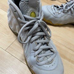 ナイキ　Air Foamposite One ウルフグレーの画像