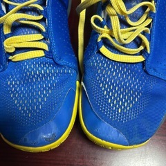 アンダーアーマー　バッシュ　24.5cm under armorの画像