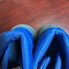 アンダーアーマー　バッシュ　24.5cm under armorの画像