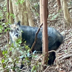 豊橋周辺の登山仲間募集 - 豊橋市