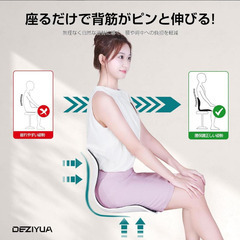 ☆★新品未使用★☆【ドイツ レッド•ドット賞受賞製品】姿勢 椅子 2個セット腰痛 椅子 ブラックの画像