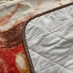 ディズニー カーペット ラグ
の画像