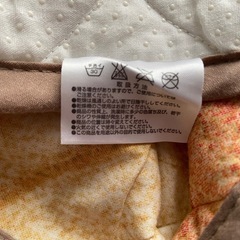 ディズニー カーペット ラグ
の画像