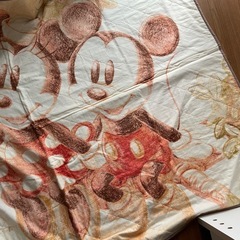 ディズニー カーペット ラグ
の画像