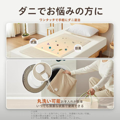 ☆★新品未使用★☆　電気毛布 掛け 敷き 5段階温度調節 140×80cm 丸洗い可能 ライトグレーの画像