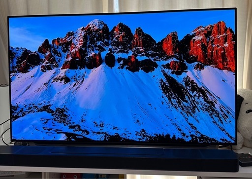 55インチ テレビ 公式 LG OLED 55C8PJA テレビ OLED TV LG 55-inch