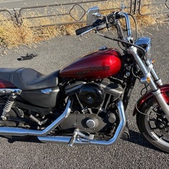 ハーレー スポーツスター XL883R　の画像