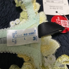 ワコール　サルート５　Ｌサイズの画像