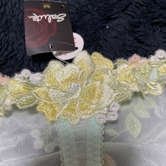 ワコール　サルート５　Ｌサイズの画像