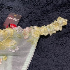 ワコール　サルート５　Ｌサイズの画像