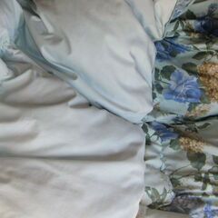 肌ふとん　と　羽毛？羽根？ふとん　の画像