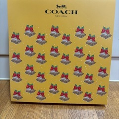 未使用COACH大皿の画像