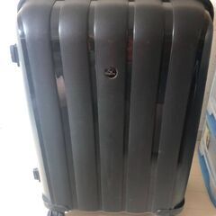 美品　キャリーの画像