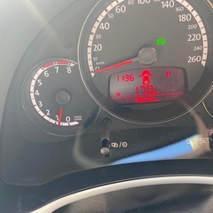 【現状渡し】ザ・ビートル　スペシャルバグ　限定グレードの画像