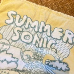 used 生活感の出にくい色！バスタオル、IKEAの分厚い大判ハンドタオルなどの画像