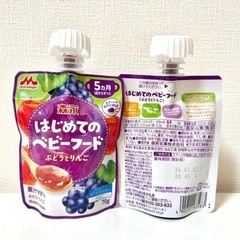 【最終値下げ】①はじめてのベビーフード 森永乳業 離乳食 生後5ヶ月から 3種類 36個の画像