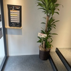 正社員スタイリスト募集！！の画像