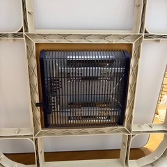 こたつ もらってください【決まりました】の画像