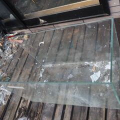 水槽、観賞魚、６０x３０x３８、熱帯魚の画像