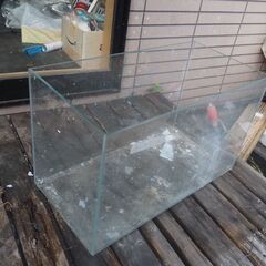 水槽、観賞魚、６０x３０x３８、熱帯魚の画像