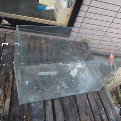 水槽、観賞魚、６０x３０x３８、熱帯魚の画像