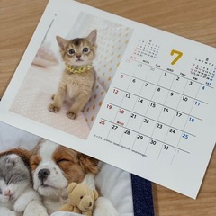 2026 卓上カレンダーの画像