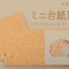 スタジオアリス★ミニ台紙1面プレゼント券★卒園卒業の画像