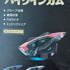 ☆★新品未使用★☆　バイクインカム イヤホン インカム バイバイク 用通信機器 通話距離1000Mの画像