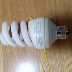 ライトドーム　スタンドの画像