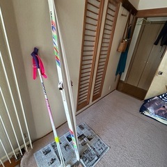 距離スキー　ブルーモリス
の画像