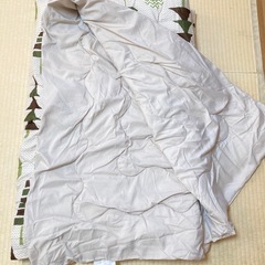ニトリ　こたつ布団　180センチ四方の画像
