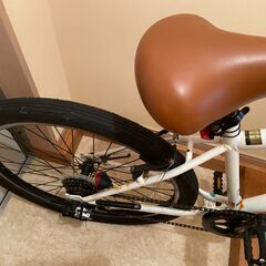 REIN ROTS マウンテンバイク 6段変速 ホワイトの画像