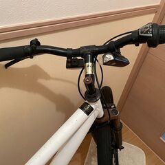 REIN ROTS マウンテンバイク 6段変速 ホワイトの画像