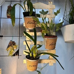 壁掛けオブジェ3連ブリキプランター