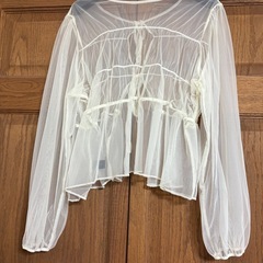 レディーストップスの画像