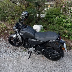 【大阪発】YAMAHA FZ-X 2024年モデル 走行1358km 極上美車　 の画像