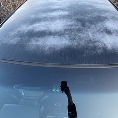 ゼストスパークWの画像