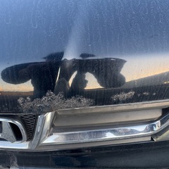 ゼストスパークWの画像