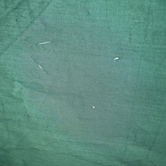 【本日引き取り値下げ有！】タープテント 緑色　の画像