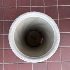 陶器製傘立ての画像