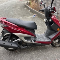 シグナス台湾　走行19000の画像