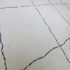 モリヨシ ラグの画像